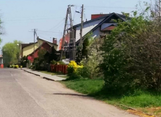 Zdjęcie